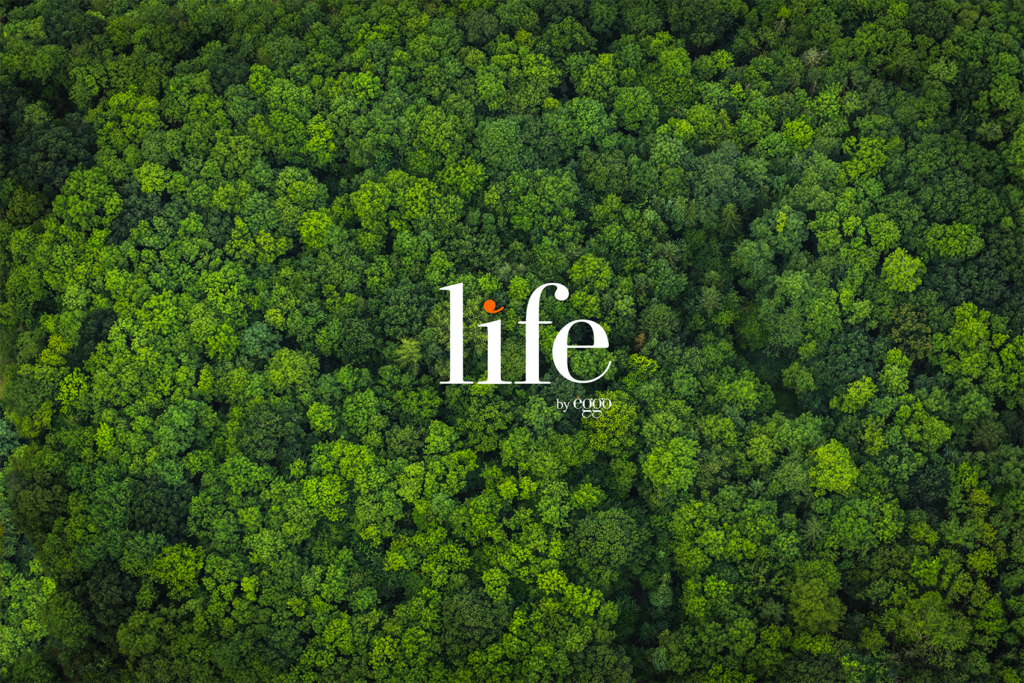Vue aérienne d'une forêt dense et verdoyante avec le mot "life" en blanc au centre de l'image.